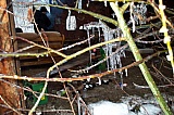 2001_178.jpg 2001_178.jpg