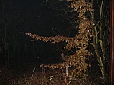 2002_25.JPG 2002_25.JPG