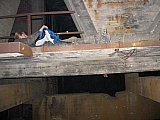 2003_146.JPG 2003_146.JPG