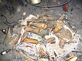 2003_88.JPG 2003_88.JPG