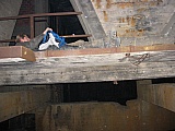 2003_146.jpg 2003_146.jpg