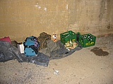 2003_84.jpg 2003_84.jpg