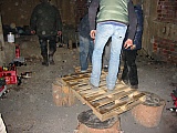 2003_87.jpg 2003_87.jpg