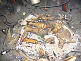 2003_88.jpg 2003_88.jpg