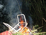 2004_137.jpg 2004_137.jpg