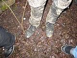 2004_21.jpg 2004_21.jpg