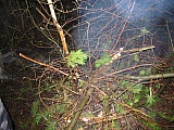 2004_27.jpg 2004_27.jpg