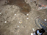 2005_179.JPG 2005_179.JPG