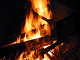 2005_94.JPG 2005_94.JPG