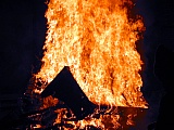 2005_204.jpg 2005_204.jpg