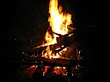 2005_95.jpg 2005_95.jpg