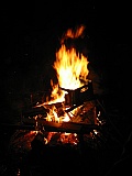 2005_96.jpg 2005_96.jpg