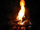 2005_98.jpg 2005_98.jpg