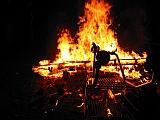 2006_103.jpg 2006_103.jpg