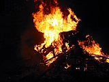 2006_152.jpg 2006_152.jpg