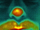 2006_164.jpg 2006_164.jpg