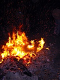 2006_22.jpg 2006_22.jpg