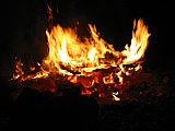 2006_29.jpg 2006_29.jpg