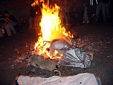 2006_73.jpg 2006_73.jpg