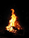 2006_74.jpg 2006_74.jpg