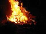 2006_77.jpg 2006_77.jpg