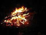 2006_83.jpg 2006_83.jpg