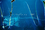 2008_10.jpg 2008_10.jpg