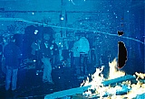 2008_12.jpg 2008_12.jpg
