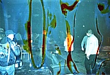 2008_25.jpg 2008_25.jpg