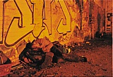 2008_29.jpg 2008_29.jpg