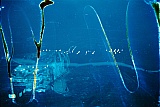 2008_10.jpg 2008_10.jpg