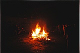 2008_30.jpg 2008_30.jpg