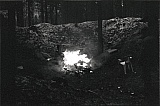 2009_11.jpg 2009_11.jpg