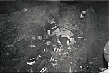 2009_4.jpg 2009_4.jpg