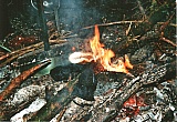 2010_17.jpg 2010_17.jpg
