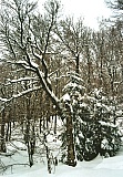 2010_32.jpg 2010_32.jpg