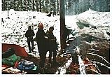 2010_9.jpg 2010_9.jpg