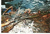 2010_12.jpg 2010_12.jpg