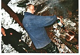 2010_15.jpg 2010_15.jpg