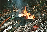 2010_17.jpg 2010_17.jpg