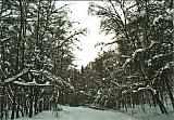 2010_31.jpg 2010_31.jpg