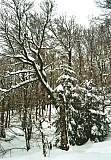 2010_32.jpg 2010_32.jpg