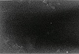 2010_39.jpg 2010_39.jpg