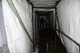 2011_11.JPG 2011_11.JPG