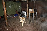 2011_12.JPG 2011_12.JPG