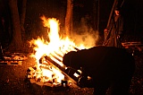 2011_136.JPG 2011_136.JPG