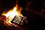 2011_137.JPG 2011_137.JPG