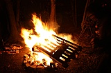2011_135.jpg 2011_135.jpg