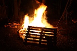 2011_139.jpg 2011_139.jpg