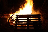 2011_145.jpg 2011_145.jpg